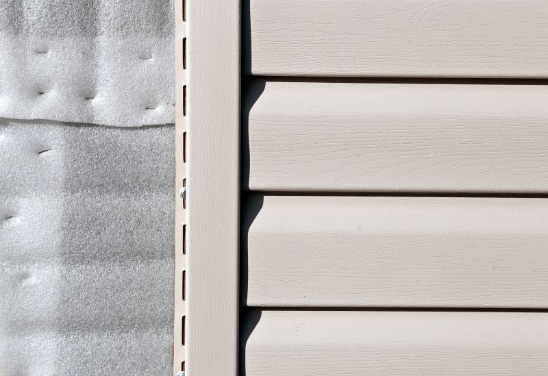 Pvc Siding Installation in Newton County, GA